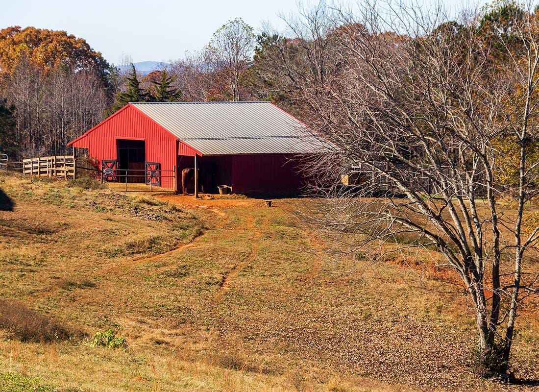 Insurance by Industry